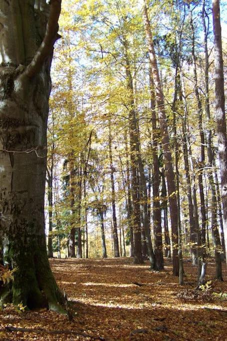 Stilvolles Landhaus Im Dreilaendereck Felsőszölnök Buitenkant foto