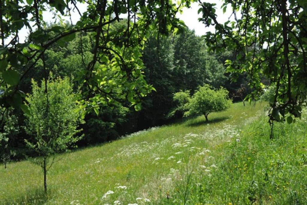 Stilvolles Landhaus Im Dreilaendereck Felsőszölnök Buitenkant foto